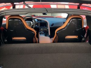Seat Back Panels Hydrocarbon